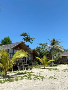 some huts are set up on the beach by palm trees and grass in front of them