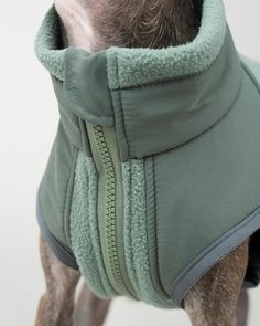 a small dog wearing a green coat with zippers on it's chest and head