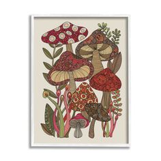 an illustration of mushrooms and plants in red, green, white and brown colors on a beige background