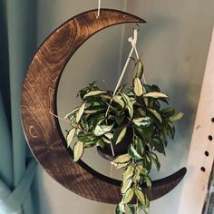 a plant is growing out of a wooden crescent hanging on a wall next to a window