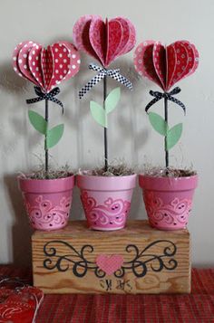 three potted plants with hearts in them on top of a wooden box and red heart decorations