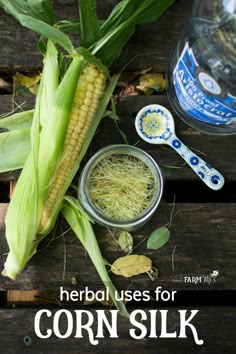 Herb Uses, Corn Silk, Herbal Recipes, Herbal Apothecary, Natural Healing Remedies, Healing Remedies, Herbal Healing, Herbs For Health, Diy Remedies