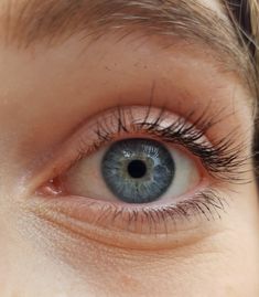 a close up view of an eye with long lashes