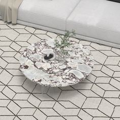 a living room with a couch, coffee table and potted plant on the floor