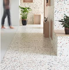 a person walking down a hallway next to plants