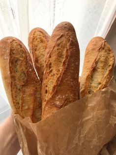 a person holding a baguette in their hand with other breads inside it