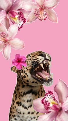 a leopard with its mouth open and flowers in front of it on a pink background