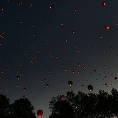 many hot air balloons are flying in the sky at night with trees and dark skies