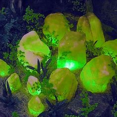 glowing rocks in the grass with plants growing on them and lit up by green lights