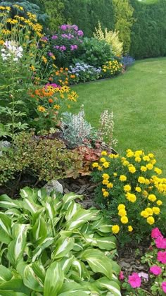 a garden filled with lots of different types of flowers