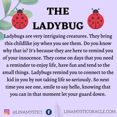 the ladybug poem with two ladybugs on it's back ground