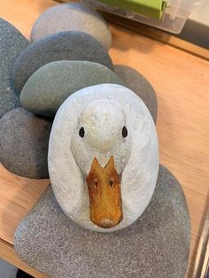 there is a rock with a duck face on it