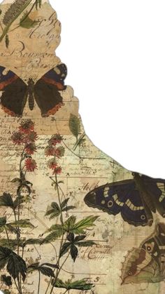 an altered photograph of butterflies and flowers on a piece of paper with writing in the background