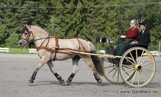 two people riding in a horse drawn carriage