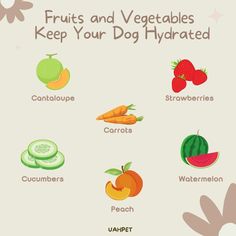 fruits and vegetables can help you keep your dog hydrated during the summertime months