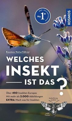 a poster with an image of a hummingbird flying next to lavenders and the words, weiches insekt ist das