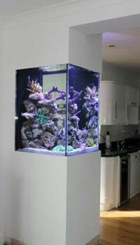 an aquarium in the corner of a kitchen