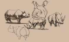 rhinos and rhinoceros are shown in this drawing