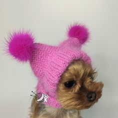 a small dog wearing a pink knitted hat with pom - poms