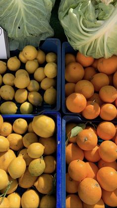 several boxes filled with oranges and lemons next to cabbage