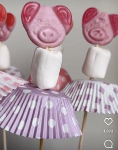 three marshmallows shaped like pigs on top of pink and white cupcakes