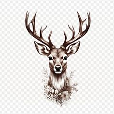 the head of a deer with antlers and flowers in its antlers, hd png