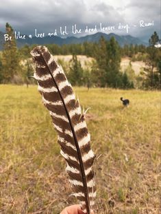 a person holding a feather in the middle of a field