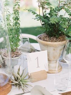 the table is set with plants and place cards