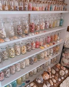 the shelves are filled with many different types of shells and seashells in glass jars