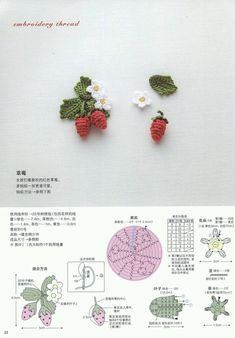 two crocheted strawberrys with leaves and flowers are shown in an instruction manual