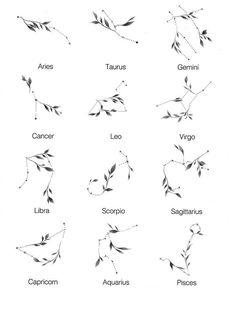 the zodiac signs and their names are drawn in black ink on white paper with leaves