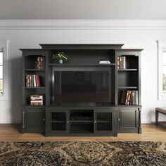 a living room with a large entertainment center and bookshelves on the wall, along with a rug