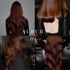 Warm toned hair inspiration from the Spring and Autumn palettes 🤍 . #coloranalysis #colouranalysis #autumnpalette #springpalette #coloranalyst Deep Autumn Hair Dye, Dark Autumn Best Colors, Level 5 Auburn Hair Color, Best Dark Hair Colors, Dark Hair Colors With Highlights, Red Hair For Deep Autumn, Brown Hair With Violet Undertones, Hair Colors For Deep Autumn, Autumn 2024 Hair