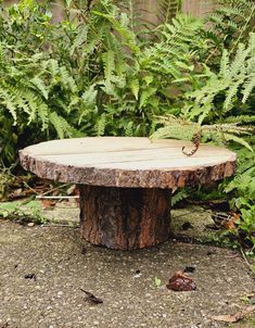 a tree stump with a lizard on it's back end sitting in the middle of a garden