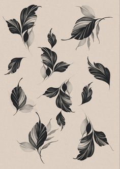 black and white leaves on a beige background