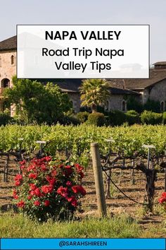 the napa valley road trip napa valley tips with red flowers and vines in front