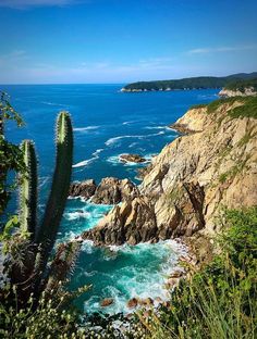 an ocean view with rocks and cactus in the foreground, blue water and green vegetation