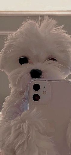 a small white dog holding a cell phone in it's mouth and looking at the camera