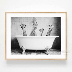 three giraffes sitting in a bathtub with the words shipped print above it