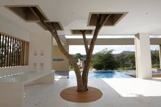 a tree in the middle of a room with an open floor plan and large windows