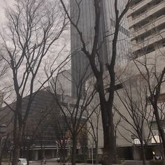 the tall building is surrounded by trees and other buildings in the background, with no leaves on them