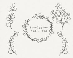 four hand drawn plants with the words eucalyptus, svg and png