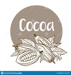 cocoa beans and leaves with the word cocoa written in white ink on a brown circle