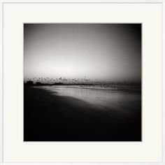 a black and white photo of birds flying over the ocean on a foggy day