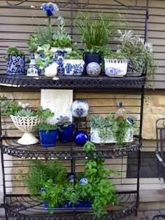 an outdoor shelf filled with potted plants