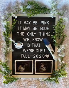 a sign that says it may be pink, it may be blue the only thing we know is that we're due fall 2020