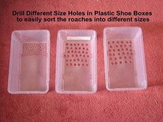 three plastic shoes boxes with holes in them on the floor next to a pink carpet