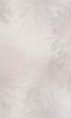 a white and pink background with palm leaves on the bottom right corner, in soft focus