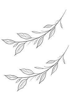 a branch with leaves is shown in this black and white drawing, it looks like the branches