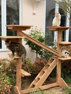 two cats sitting on top of wooden cat houses in front of a house with plants